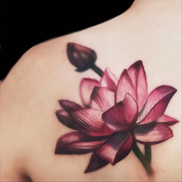 Flower, 모란, 목련, 백합, 연꽃, 국화, 매화, 탄생화, 연꽃 문양, 한국 연꽃, 연꽃 만다라, 난초