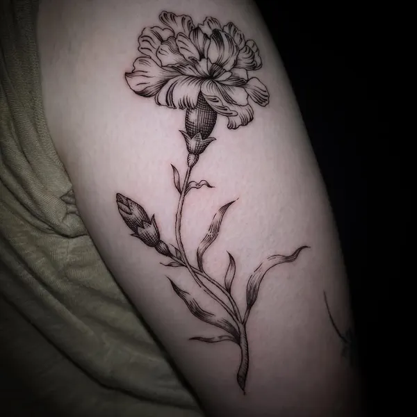 Rose, Flower