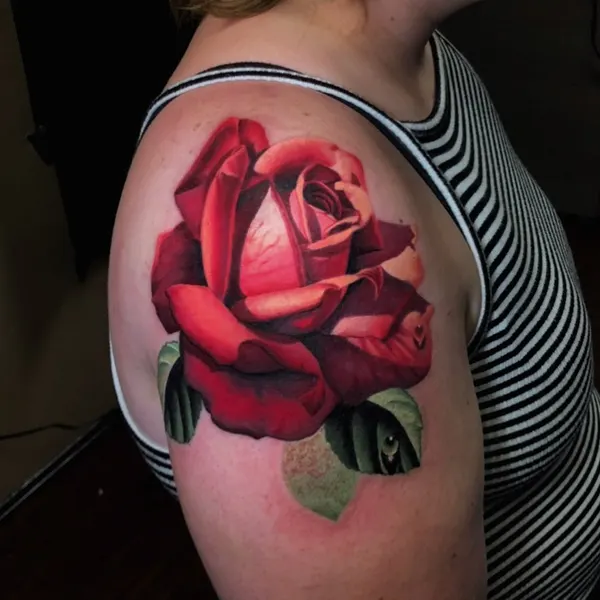 Flower, Rose, Nature