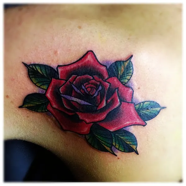Flower, Rose, Nature