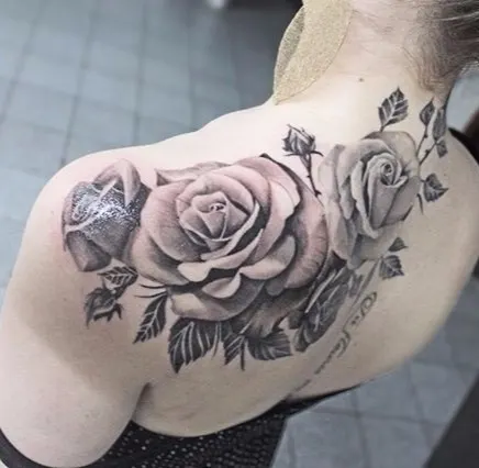 Flower, Rose, Nature
