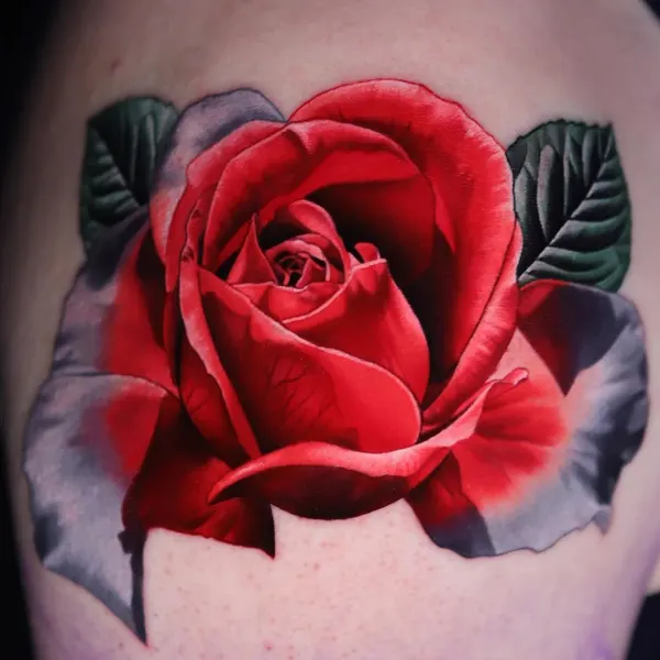 Rose, Flower