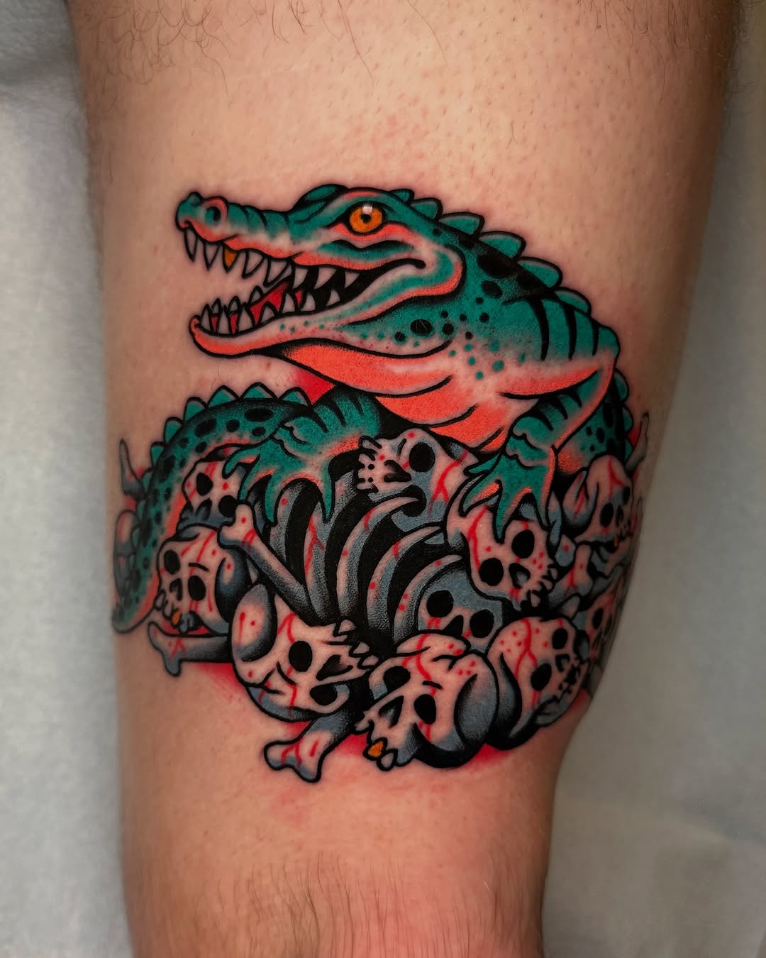 Dragon, 악어