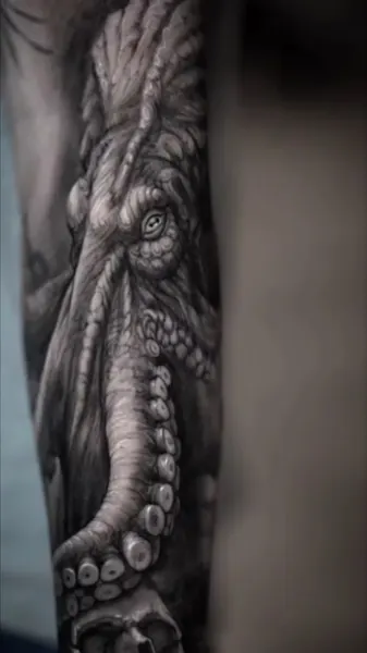 Animal