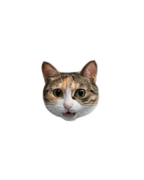 텐구, 함사, 고양이, 반려동물, 마네키네코, 여우 가면