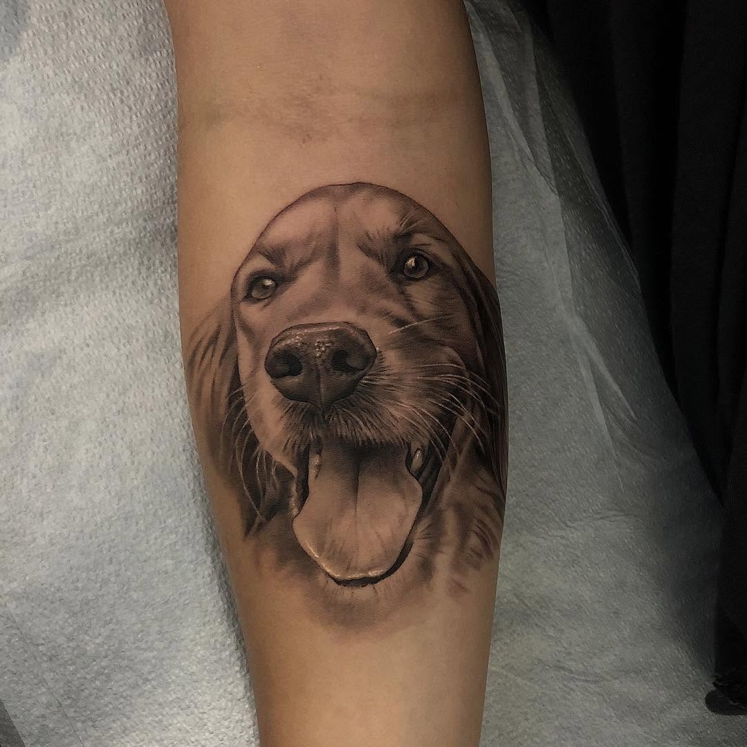 Animal, 강아지
