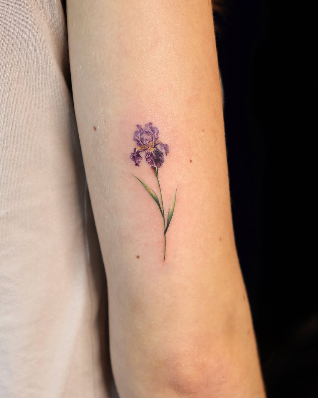 Flower, 난초, 튤립, 라벤더, 수선화, 야생화, 아이리스, 카네이션, 모란