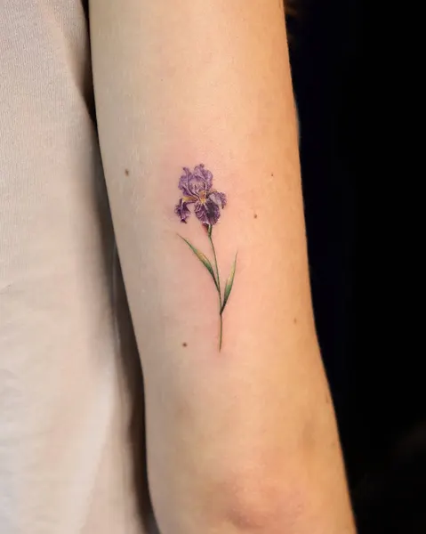 Flower, 난초, 튤립, 라벤더, 수선화, 야생화, 아이리스, 카네이션, 모란