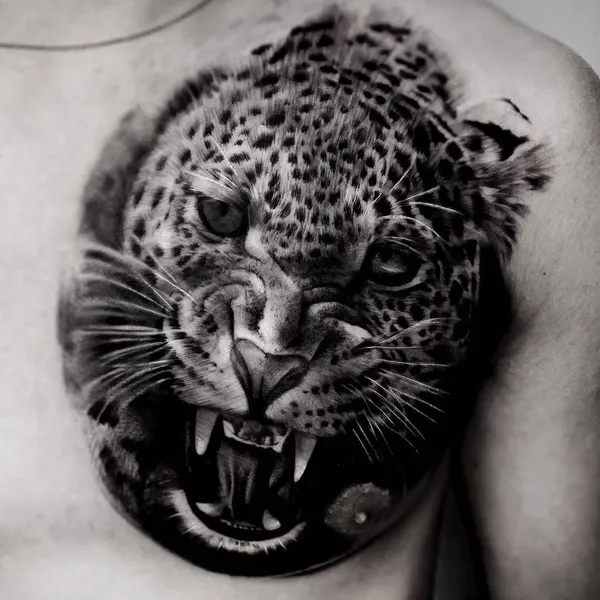 Animal, 치타, 표범, 재규어