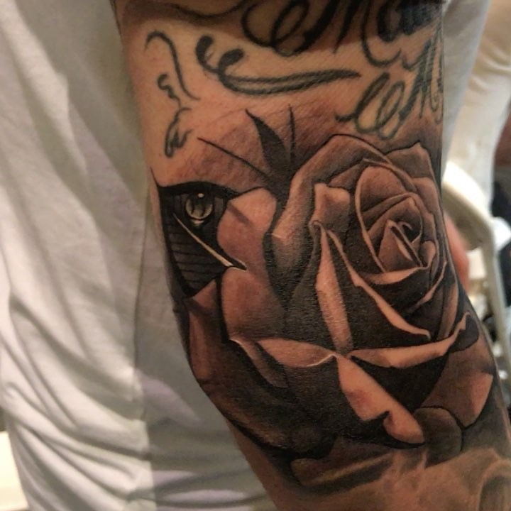 Flower, Rose