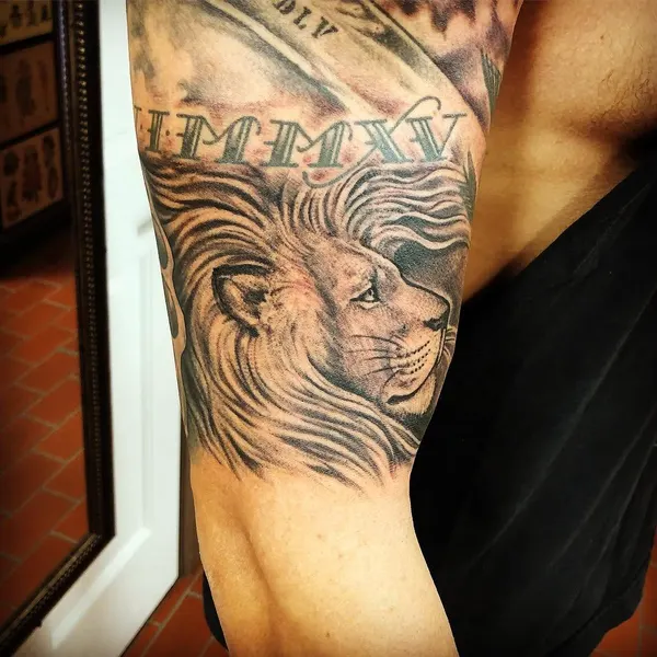 Tiger, 사자, 제우스