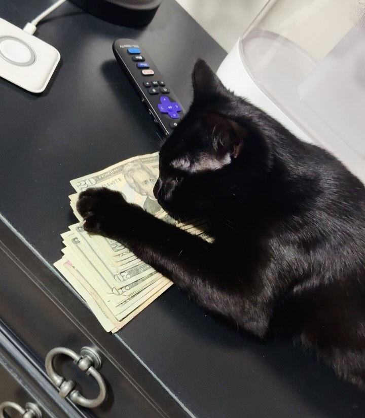 jozzycamacho