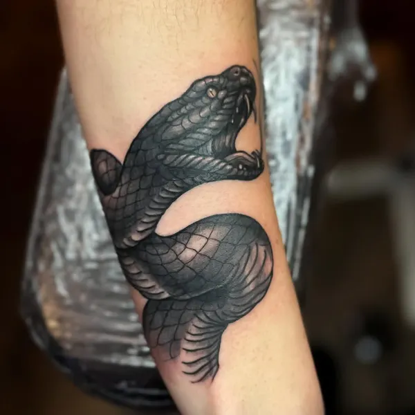 Dragon, 잉어, 물고기