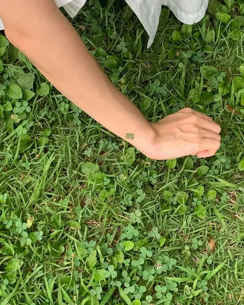 hongzo_tt