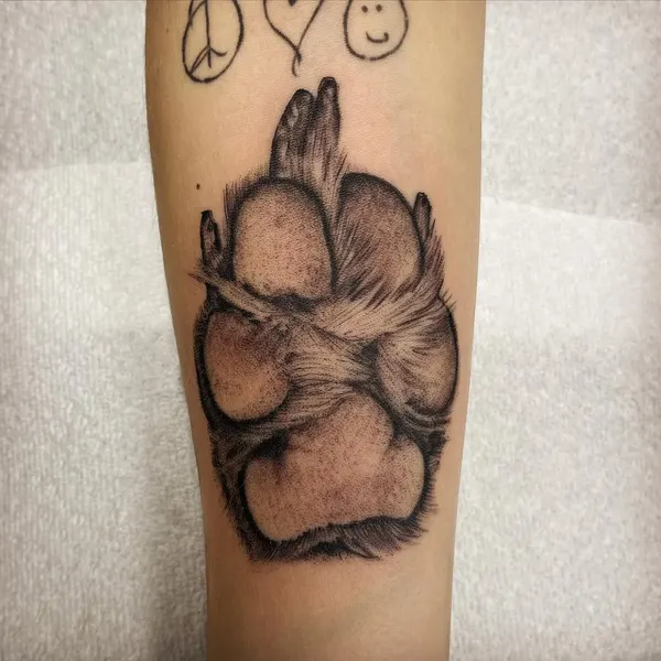 Animal