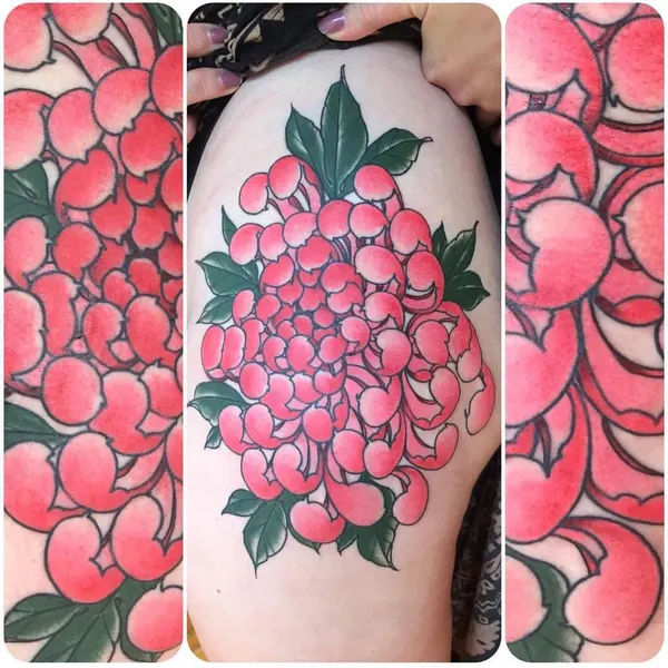 Flower, Rose, 딸기, 매화, 석류