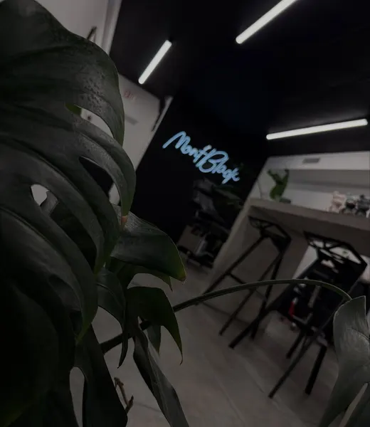 체스, 마이크