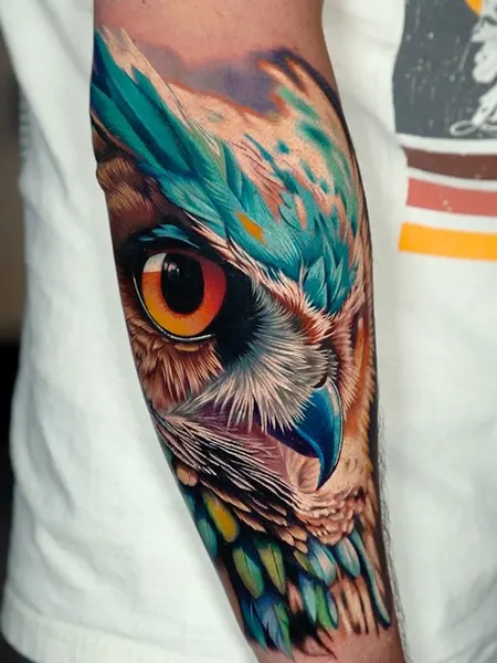 Animal, Nature