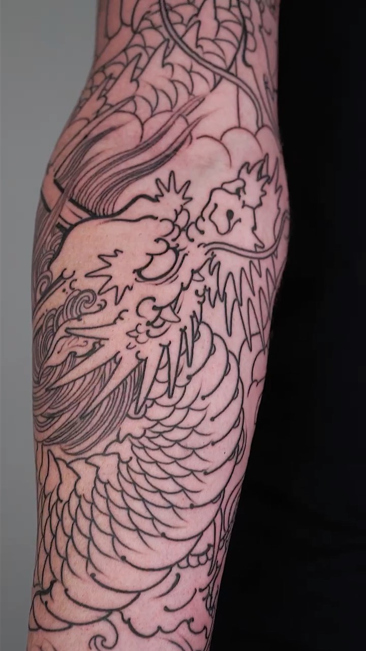 Dragon, 불사조