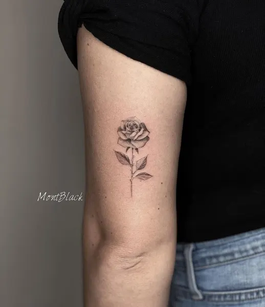 Flower, Rose