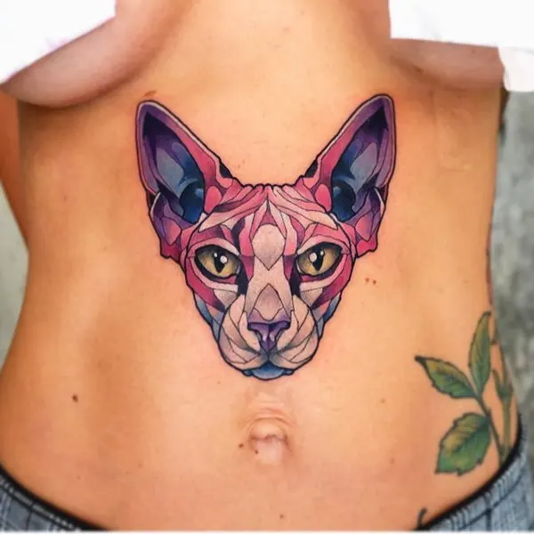 Animal