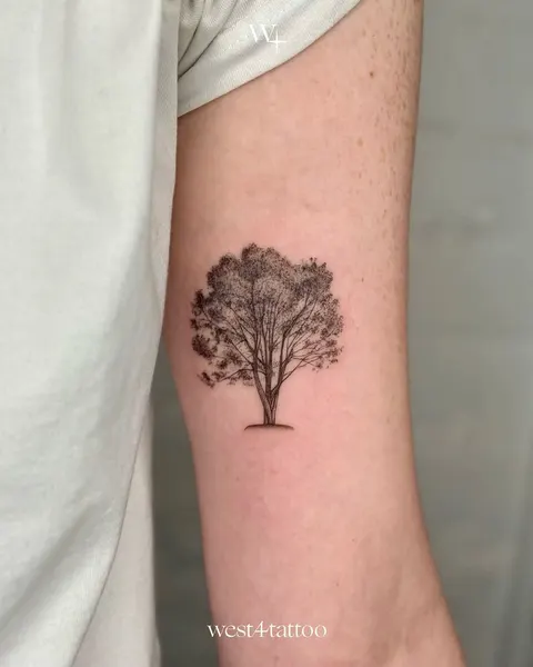 뿌리, Nature, 숲, 나무, 덩굴, 소나무, 야자수, 나뭇가지, 카네이션, 올리브 가지, 지혜, 대나무, 은행잎, 오너멘탈