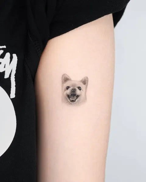 여우, 판다, 너구리, 코알라, 나무늘보, 멧돼지