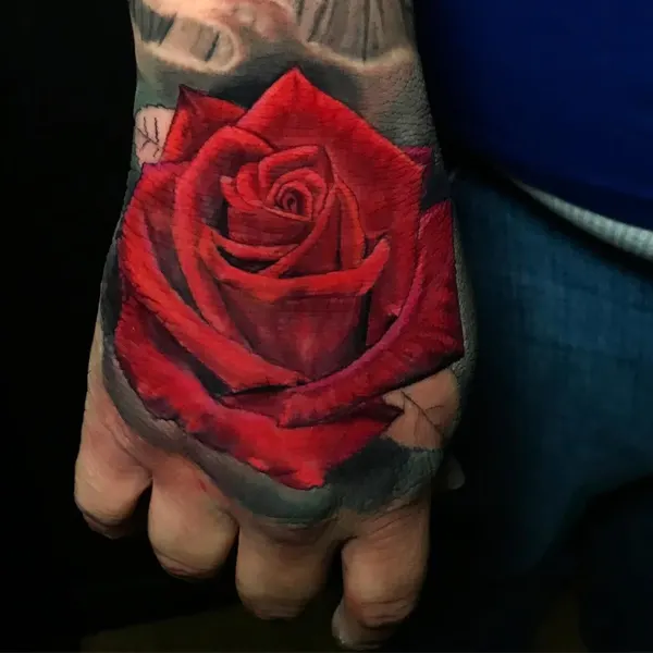 Flower, Rose
