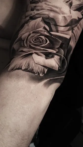 Flower, Rose