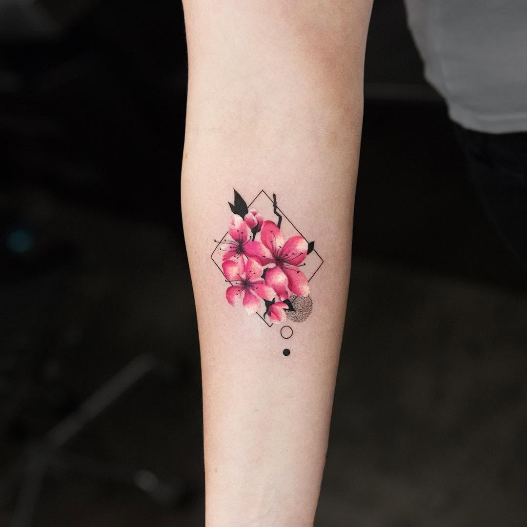 모란, Flower, Rose, 매화