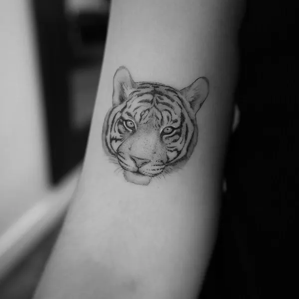 Tiger, 사자자리