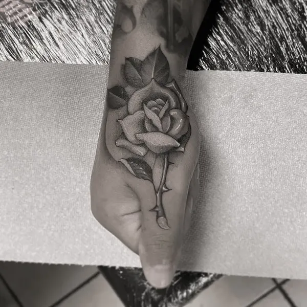 Flower, Rose