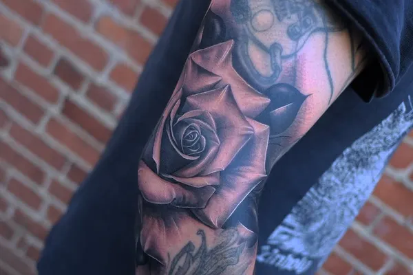 Flower, Rose