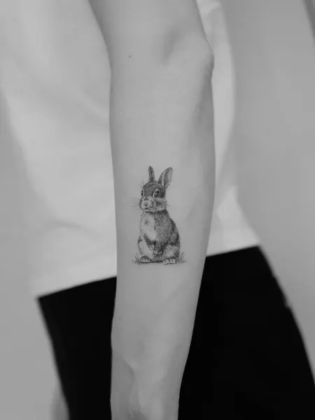 Animal, 토끼