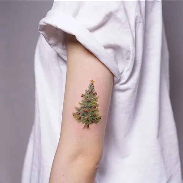 Nature, 소나무