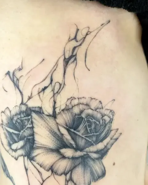 Flower, Rose, Nature