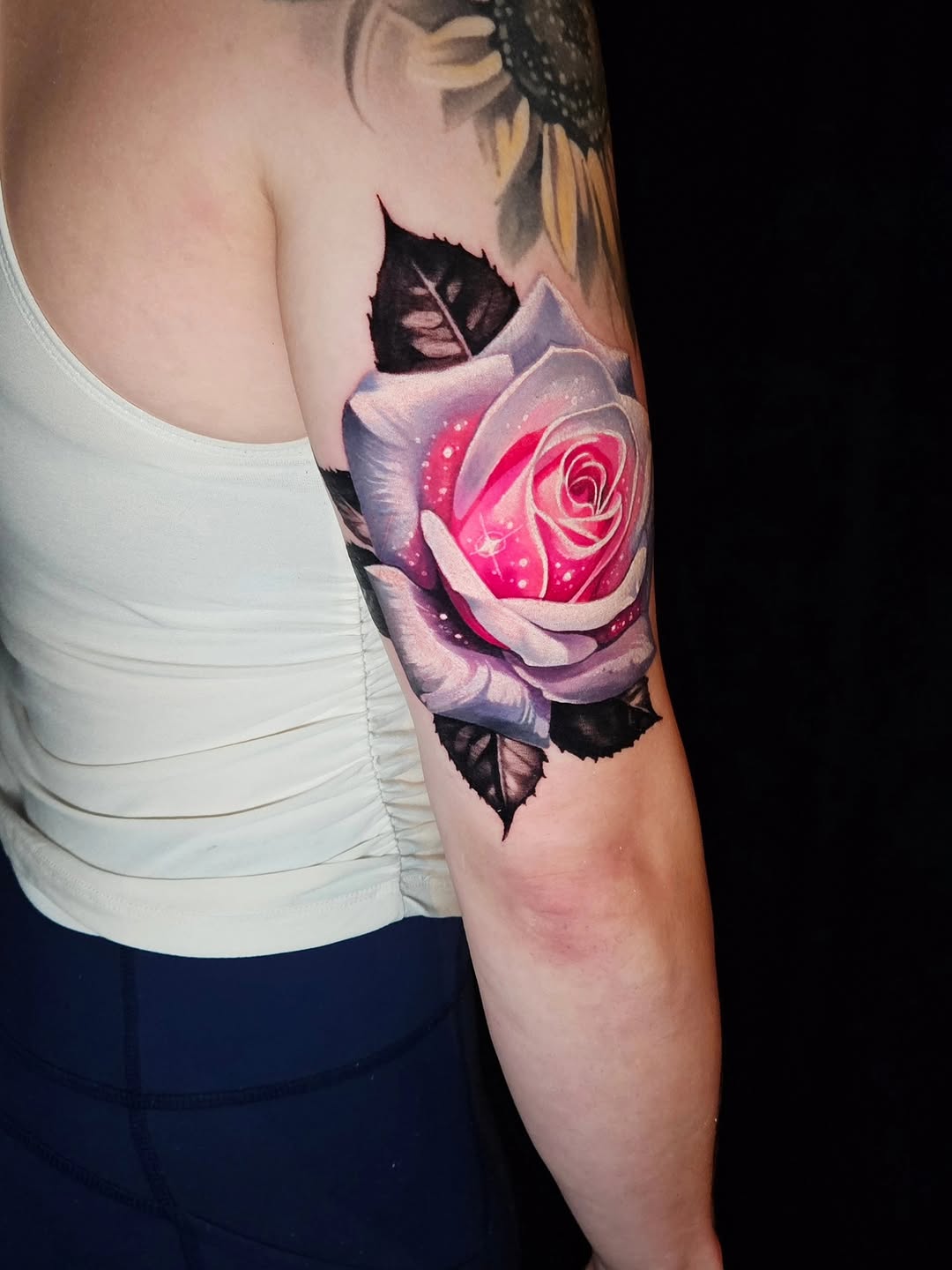 Flower, Rose, Nature
