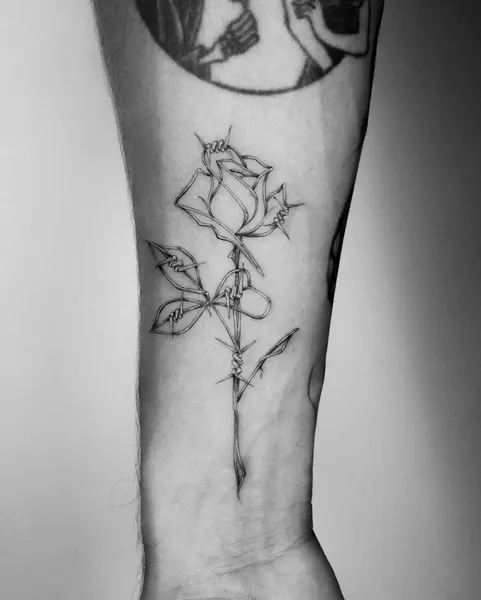 Flower, Rose