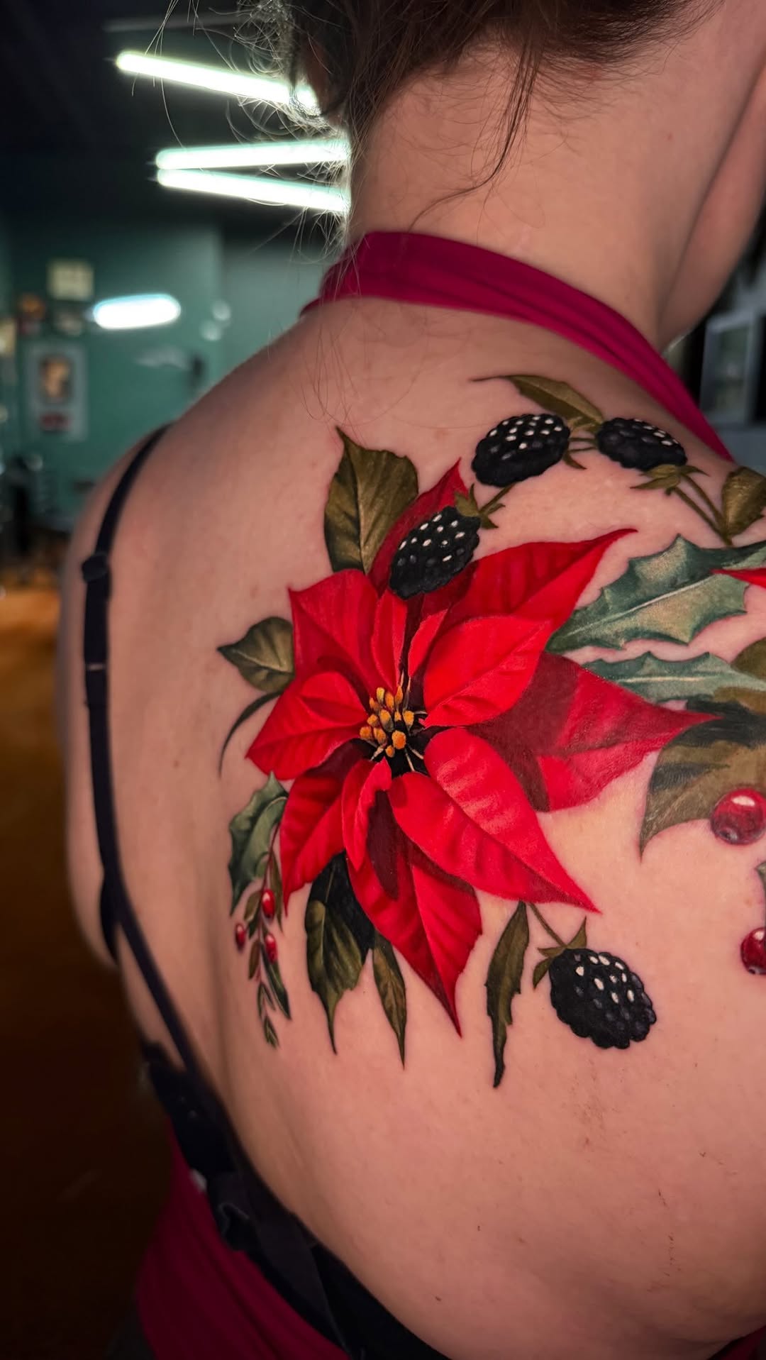 Flower, Rose, Nature