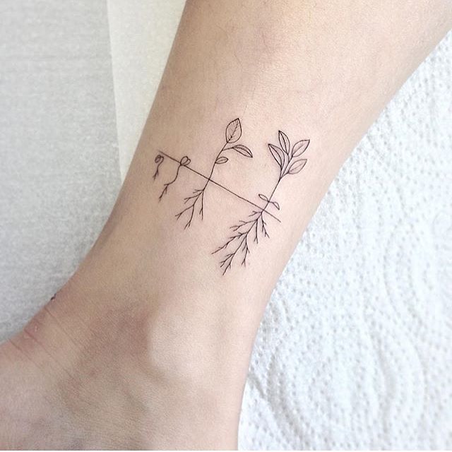 개미, 바람, 풀, 덩굴, 대나무, 야자수, 나뭇가지, 카네이션, Nature, 오리엔탈, 올리브 가지