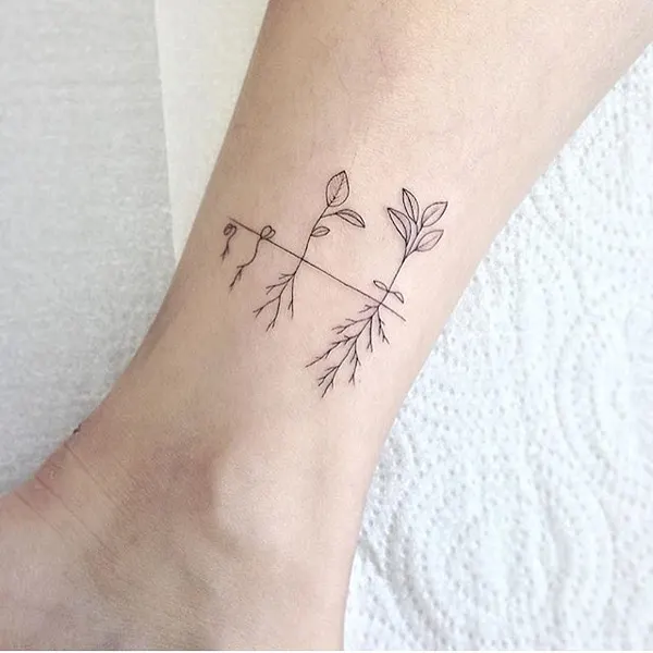 개미, 바람, 풀, 덩굴, 대나무, 야자수, 나뭇가지, 카네이션, Nature, 오리엔탈, 올리브 가지