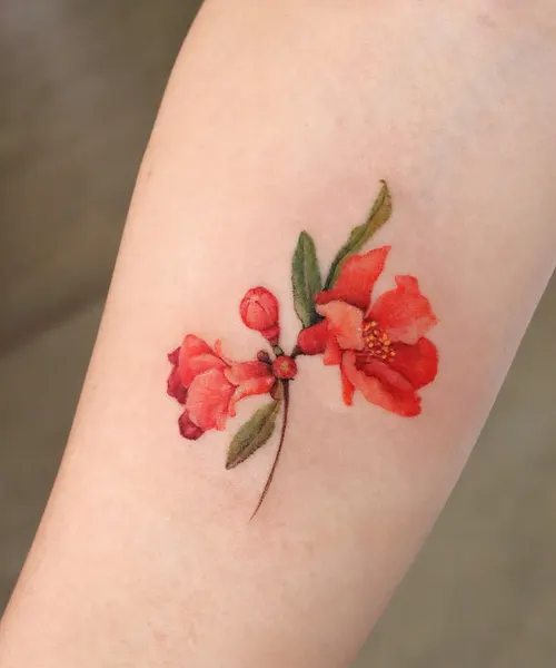 Animal, Nature, Flower