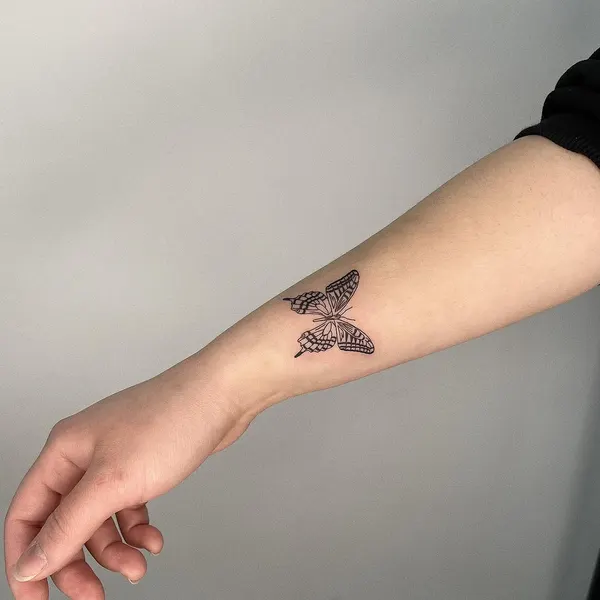 Animal, Nature, 나방, 잠자리