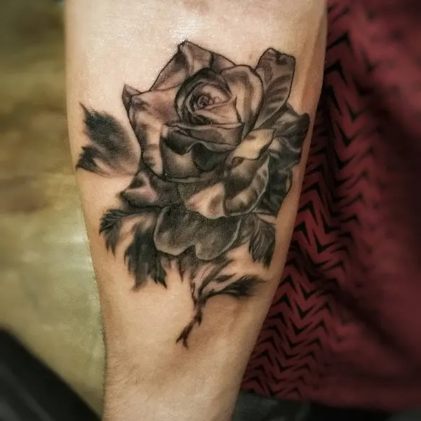 Flower, Rose