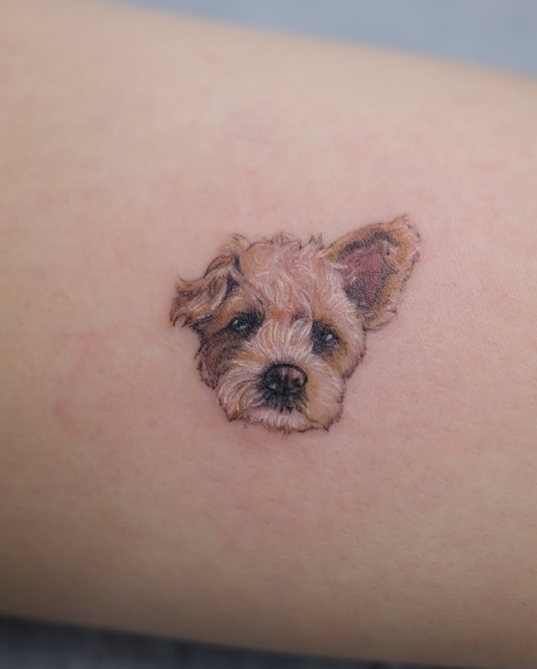 tattooist_yammy