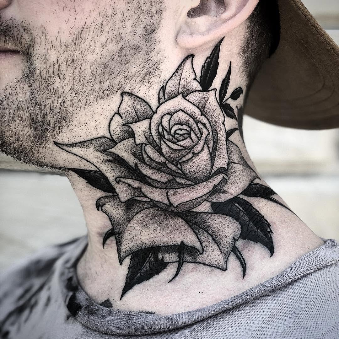 Flower, Rose, Nature