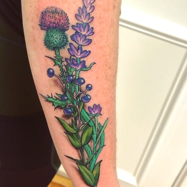 Flower, Rose, 라벤더