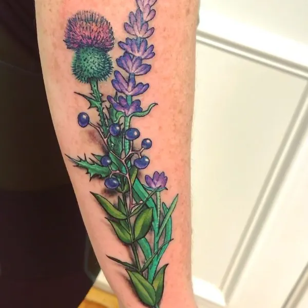 Flower, Rose, 라벤더