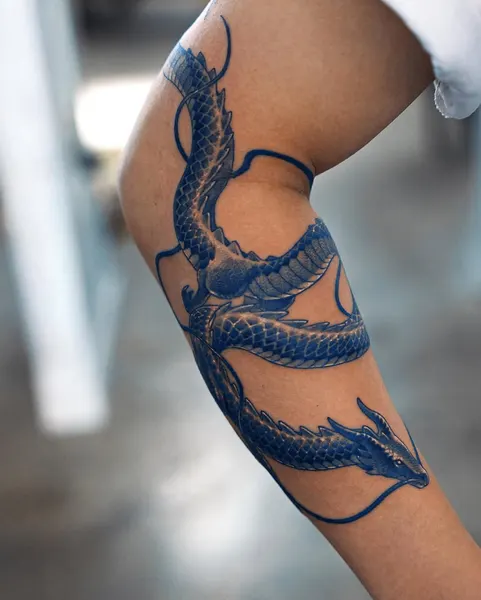 Dragon, 문어, 산호, 크라켄