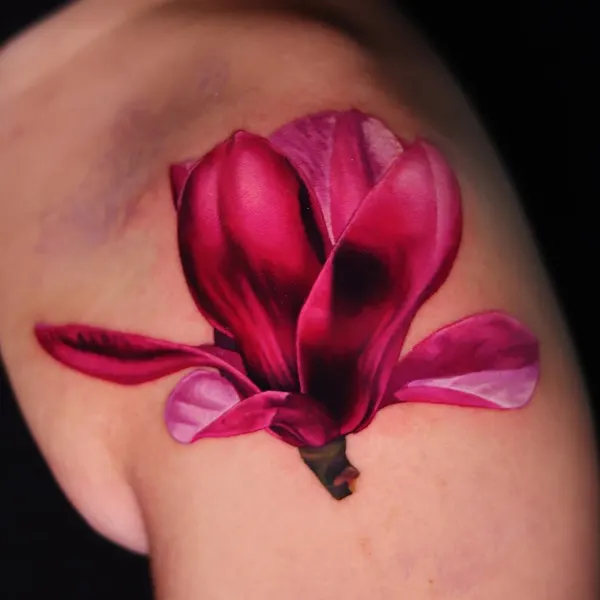 Flower, Rose, 난초, 튤립, 백합